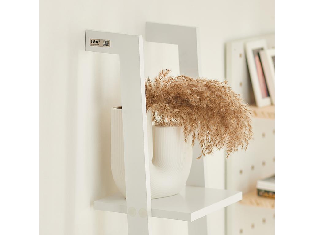 Bibliothèque blanche